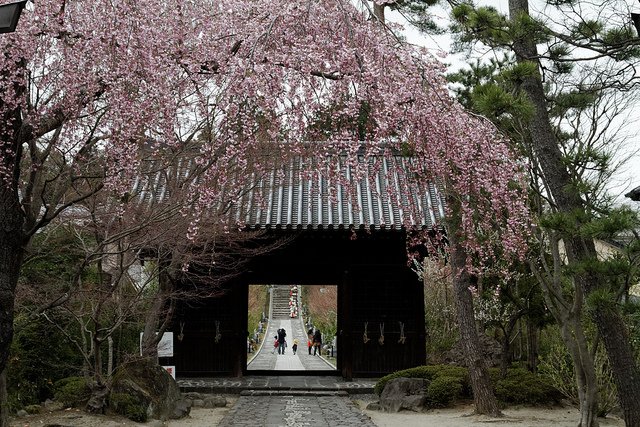 Entrada al pasillo del templo de Ronno ji