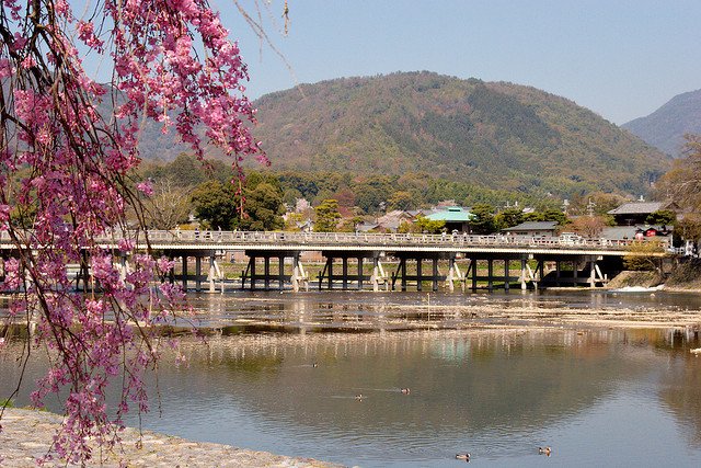 Imagen durante el día del puente de la luna o puente de Togetsukyo